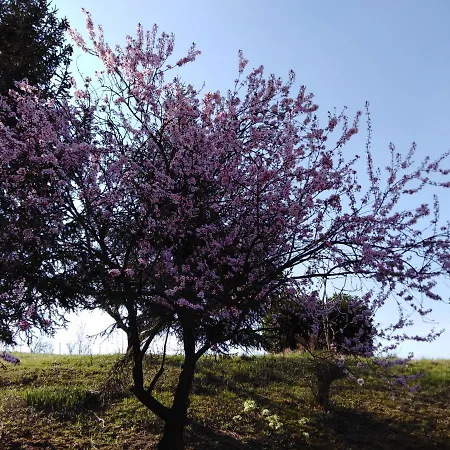 Maison d'hôtes La Cascina Dei Banditi 4*