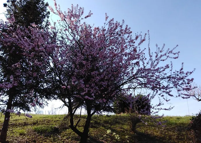 Gasthuis La Cascina Dei Banditi 4*